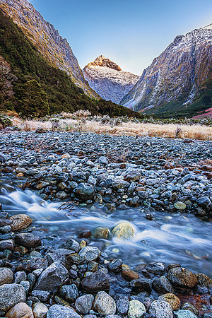Monkey Creek Side Stream, Fiordland National Park
