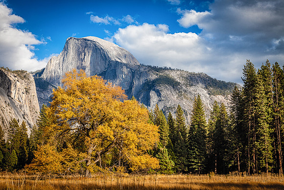Fall's First Storm, Cook's Meadow