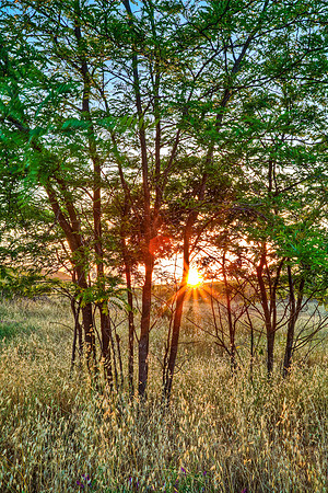 Last light from Portero Ranch