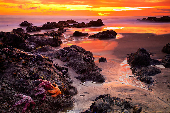 5-Star Sunset