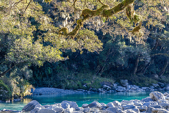 Haast River Afternoon, Haast Pass