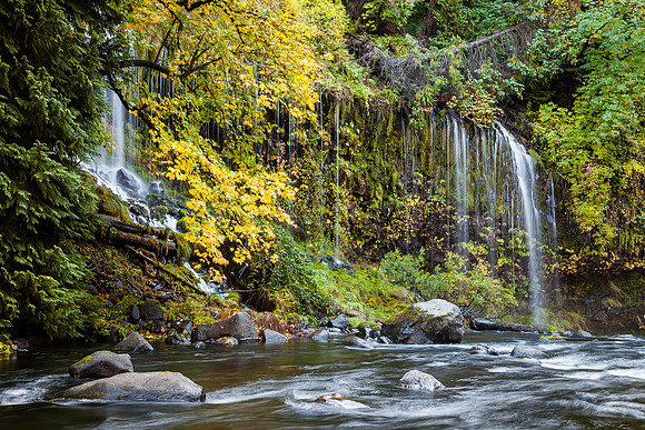 A River Runs Below it, Mossbrea Falls