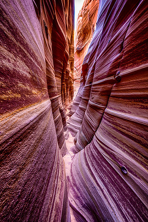 Fisheye's View Out, Zebra Slot Canyon