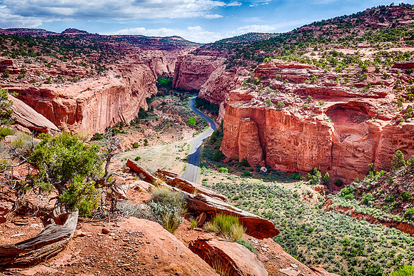 Long Canyon, The Burr Trail