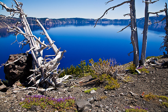 Crater Lake From The Top Of Wizard Island