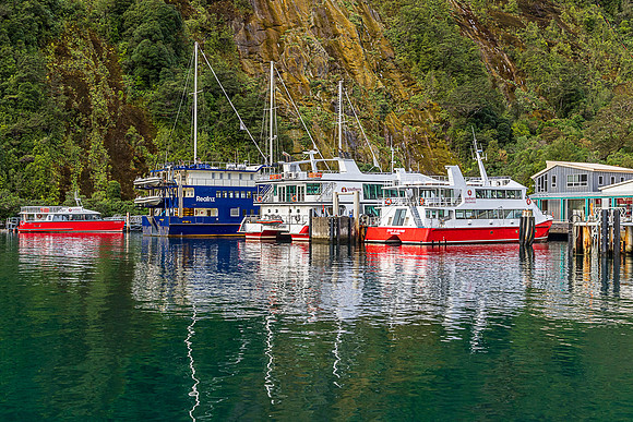 Milford Sound Harbor