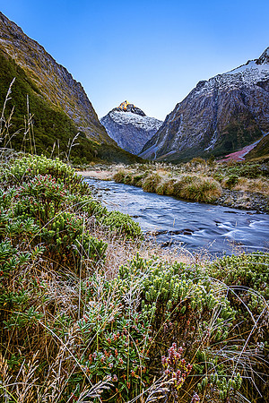 First Light on Taltik Peak from Monkey Creek, Fiordland National