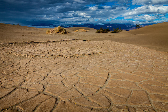 Cracked Sand Pan, Mesquite Flat Sand Dunes