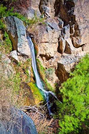 Darwin Falls