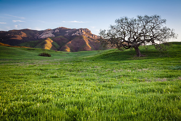 Spring Green