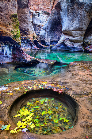 Maple Branch Pool, Zion NP