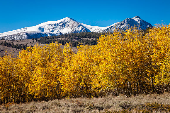 Summit Gold, Eastern Sierras