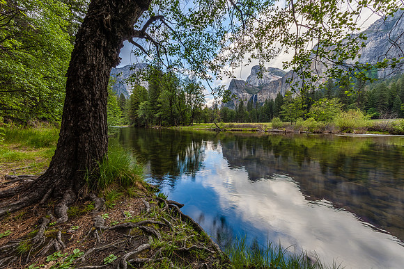 Along the Merced
