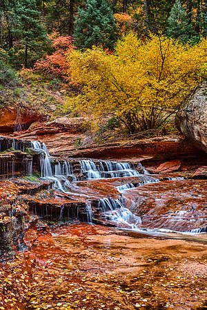 Arch Angel Profile, North Creek, Zion NP