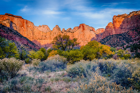 Autumn Morning, Zion NP