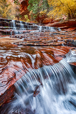 Cascade Detail, North Creek, Zion NP