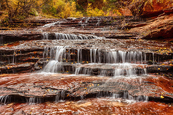 Steps, North Creek, Zion NP