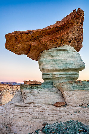 Colonial Man, Stud Horse Point