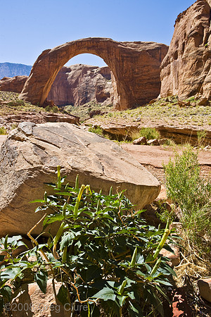 Rainbow Bridge 2