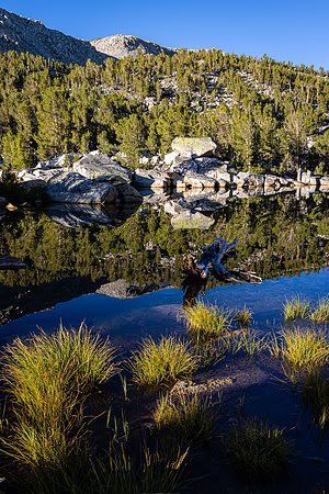 Tyee Lake #3 Outlet Relection