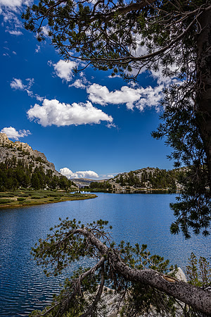 Pine Over Tyee Lake #4