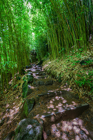 Welcome to the Jungle, Pipiwai Trail