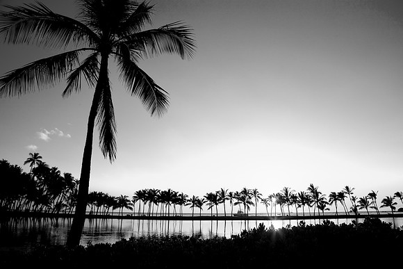 Anaeho'omalu Beach from the Grass, Kokala Coast, Hawaii