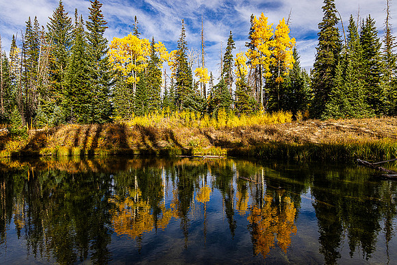 Alpine Pond, Cedar Breaks NM