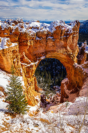Frosted at Natural Bridge, Bryce Canyon NP