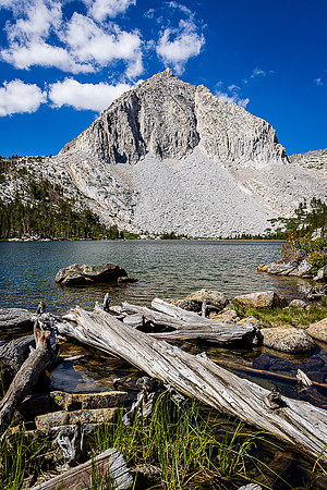 Shoreline Debris, Hilton Lake #4, John Muir Wilderness