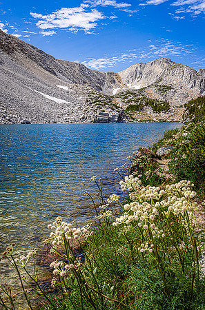 Rangers Buttons Along Hilton Lake #5, John Muir Wilderness