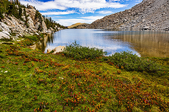 Indian Paintbrsh at Hilton Lake #5, John Muir Wilderness