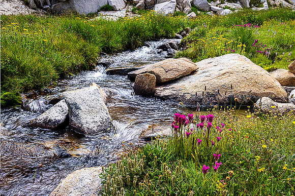 Hilton Lake #5 Inlet Stream, John Muir Wilderness