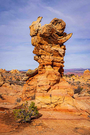 The Knight, Coyote Buttes South, Paria Canyon-Vermillion Cliffs