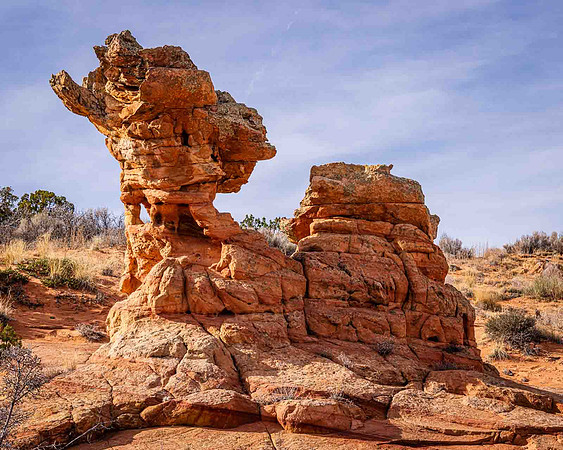 Camel Rock, Coyote Buttes South, Paria Canyon-Vermillion Cliffs