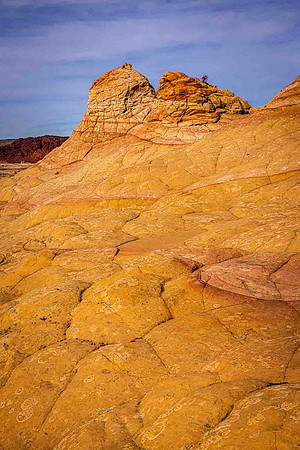 Golden Cross-hatching, Coyote Buttes South, Paria Canyon-Vermill