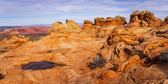 Water Amoung the Rocks, Coyote Buttes South, Paria Canyon-Vermil