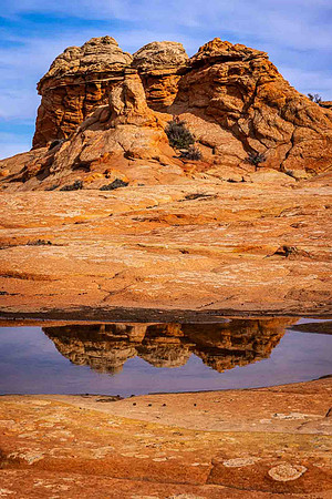 Desert Oasis, Coyote Buttes South, Paria Canyon-Vermillion Cliff