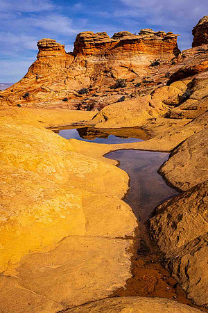 Pools, Coyote Buttes South, Paria Canyon-Vermillion Cliffs Wilde