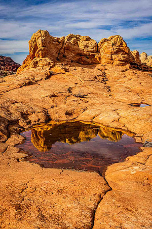 Relecting Puddle, Coyote Buttes South, Paria Canyon-Vermillion C