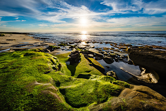 Shoreline Green, Hospital Reef
