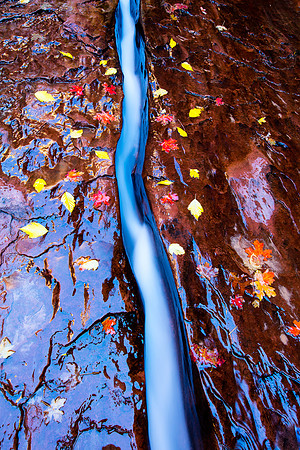 Twisted Turbulance, Zion NP