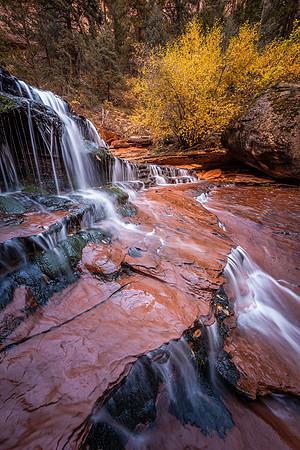 Arch Angel Profile, Zion NP