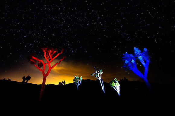Patriots, Joshua Tree National Park