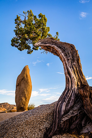 Reacking Out, Joshua Tree NP
