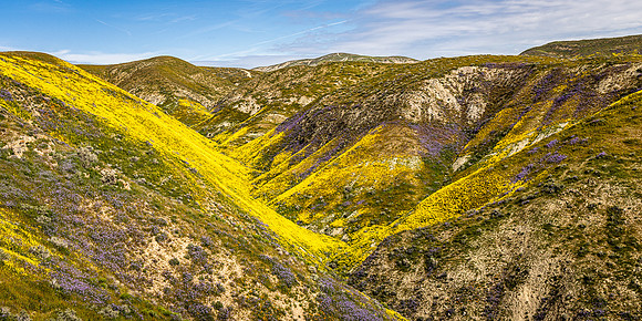 Yellow Valley, Carrizo Plain NM