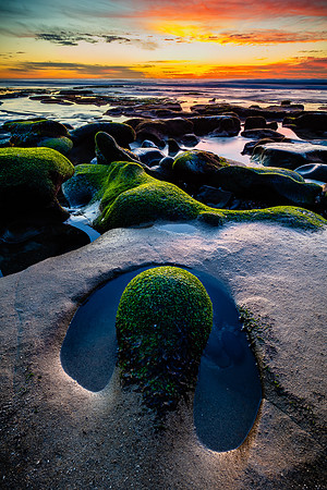Uvula Twilight, Hospital Reef