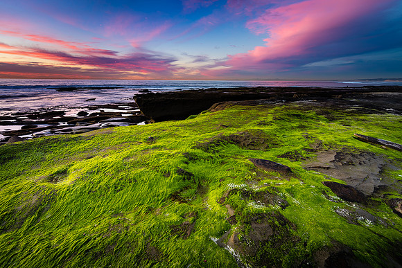 Coastal Lawn, Hospital Reef