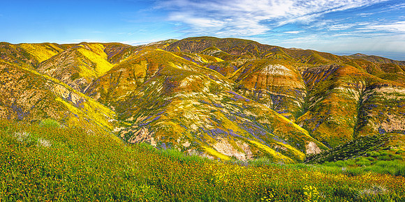 Painted Hills Pano, Carrizo Plain NM