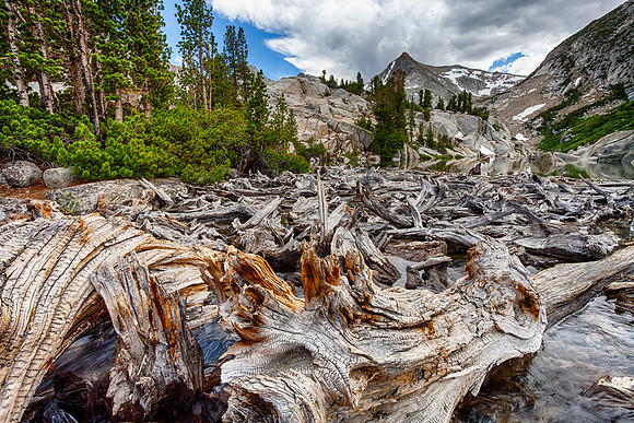 Log Jam, Baboon Lake